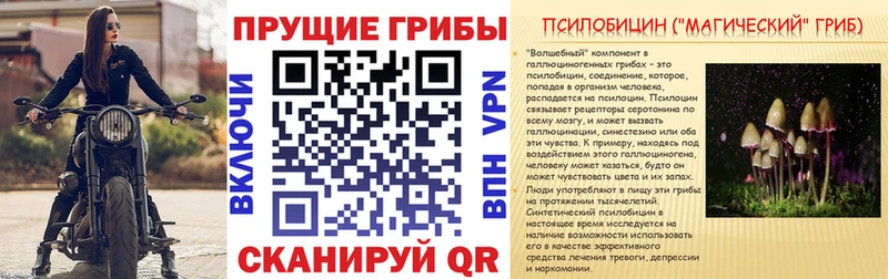Псилоцибиновые грибы прущие грибы  Купить  Уржум 